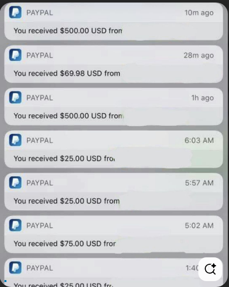 Proof of Paypal earnings